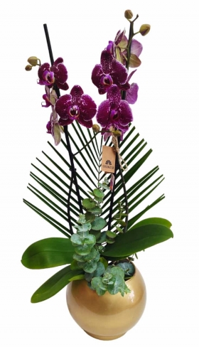 Pembe Orkide Cam Fanusta 