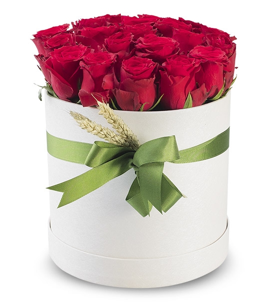 Aşkın Adı Kutuda Kırmızı Güller